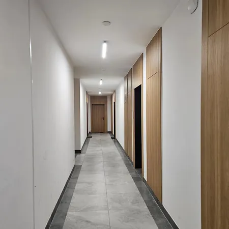 Chopin Airport Wlochy * وارسو